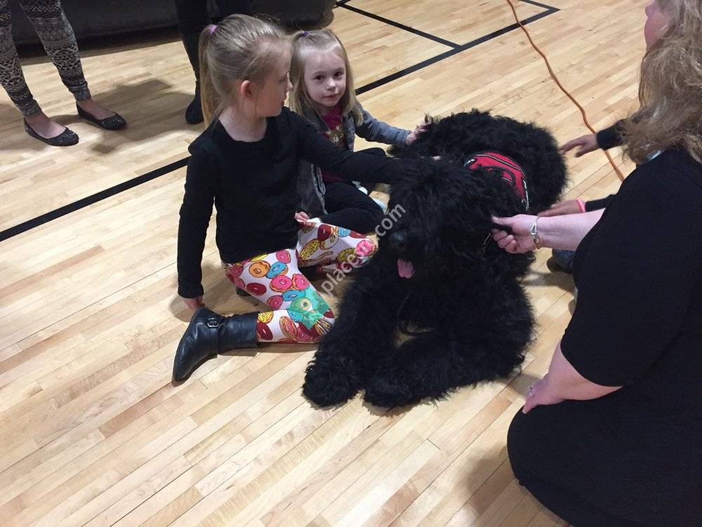 Tri State K9 Service