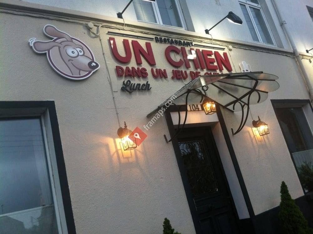 Un chien dans un jeu de quilles