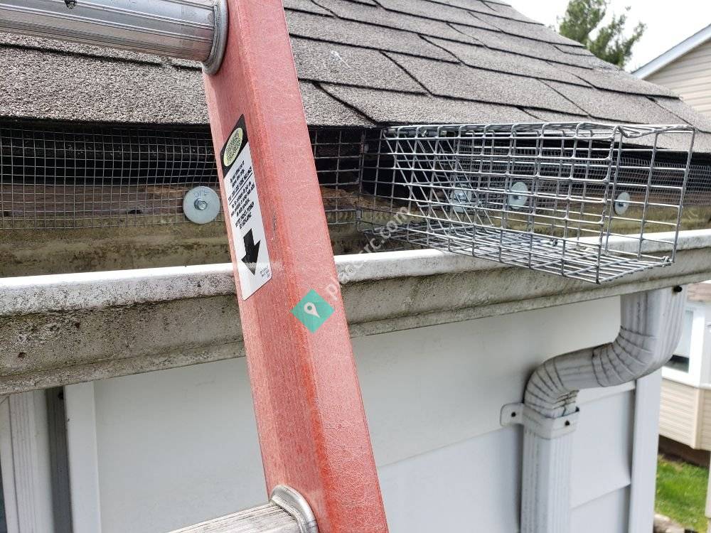 Universal Pest Control