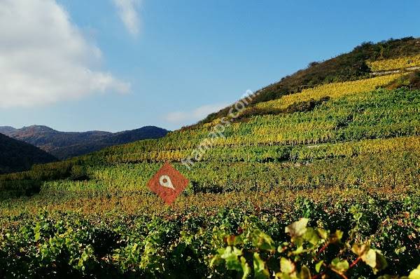 Valade & Transandine