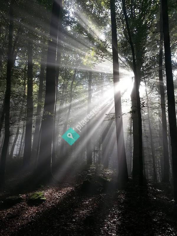 Vermont Catholic Charities: Rutland Office