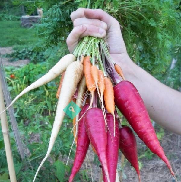 Vermont Community Garden Network