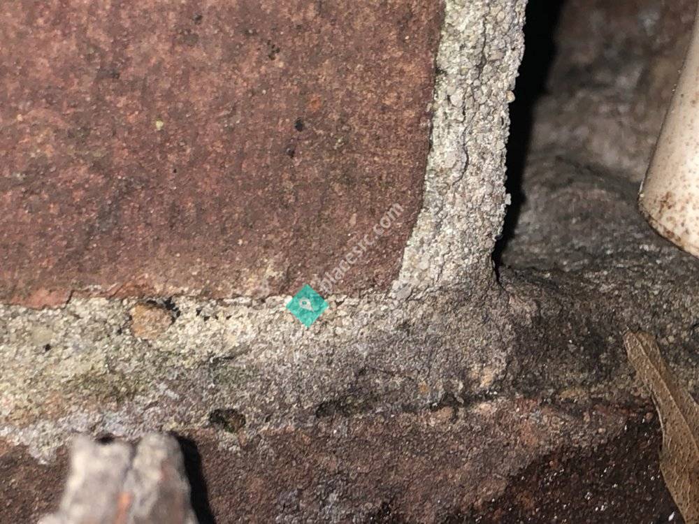 Veteran Pest & Wildlife Services