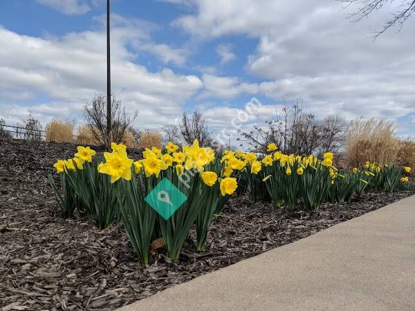 Washington Town & Country Fair