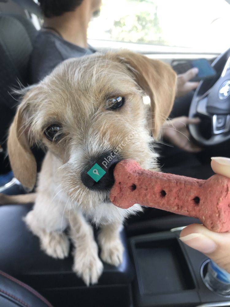 Wells Fargo Bank Houston