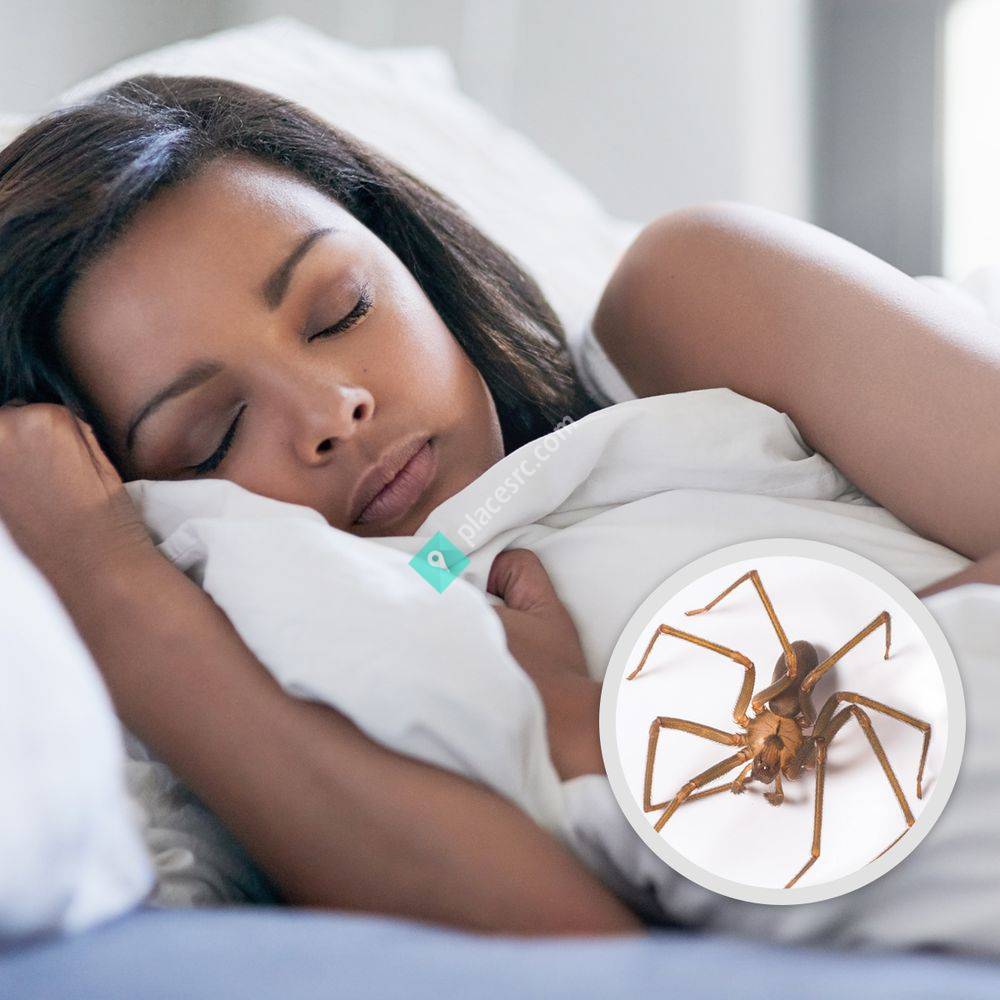 WilKil Pest Control Menomonee Falls