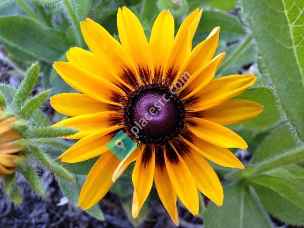 Wings of Enchantment Butterfly Farm