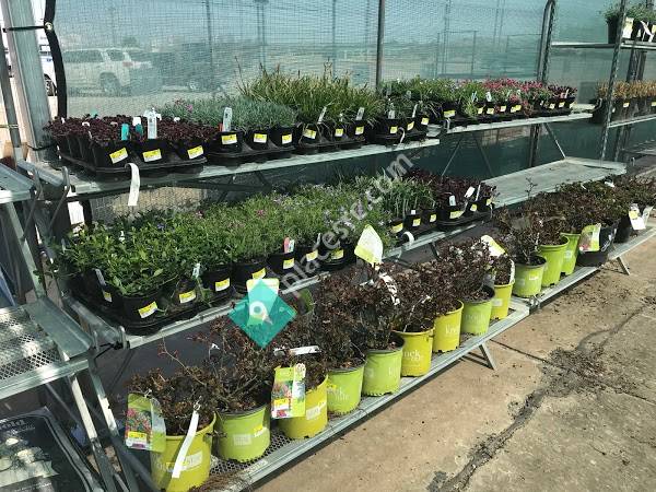 Woodward Ace Hardware