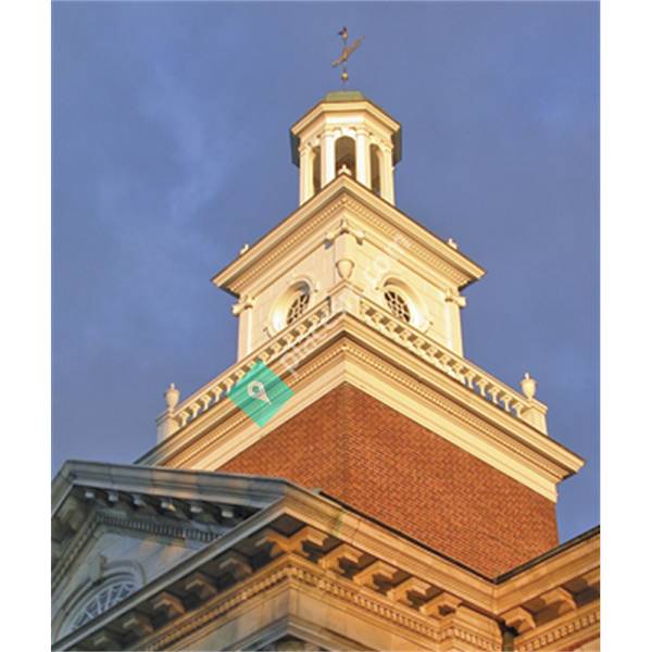 Wyatt Insurance Services, Inc.