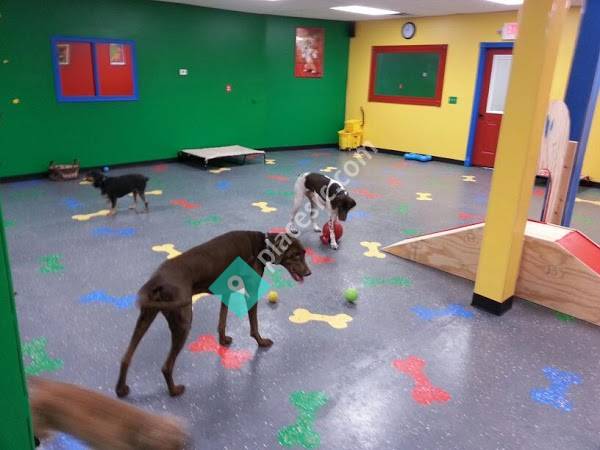 Y Bark Alone Doggy Daycare, Grooming, and Boarding